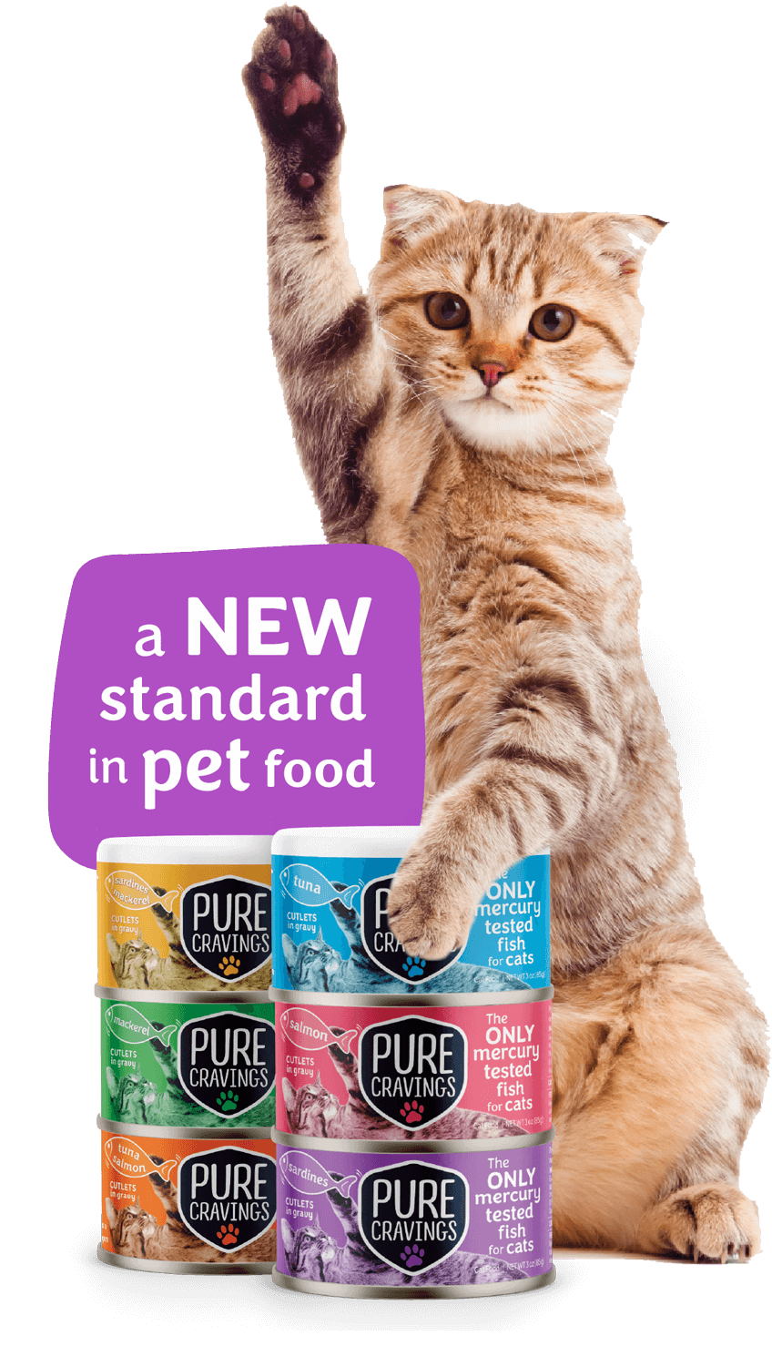 Pure pet food cat best sale